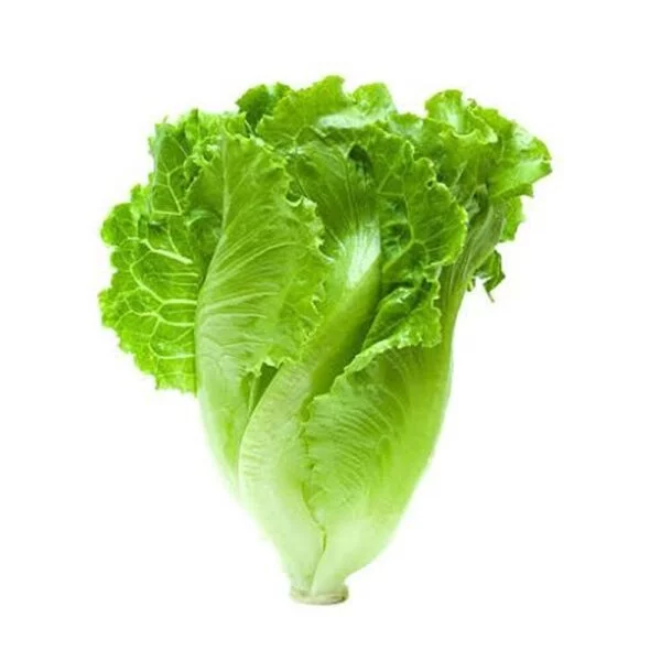 Lettuce Iceberg/ లెట్యూస్ Desi [20+ Seeds]