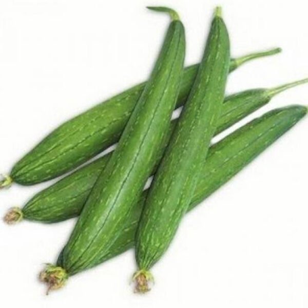 Sponge Gourd [10+ Seeds]