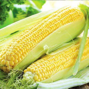 Sweet Corn Hybrid [12+ Seeds]