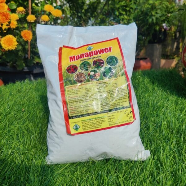 Pseudomonas - సూడోమోనాస్ 1kg